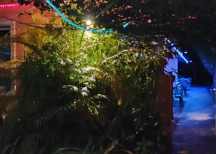 Oasis Of Peace
