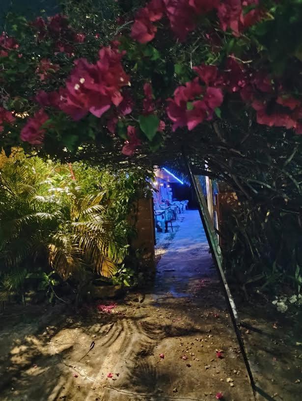 Oasis Of Peace Hallandale Beach